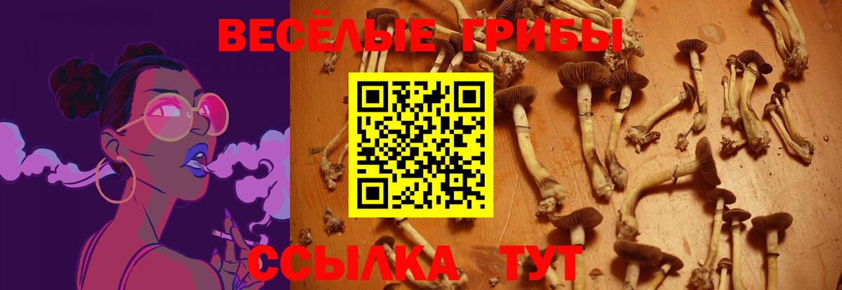 Алексеевка  Галлюциногенные грибы ЛСД  Вход с VPN 